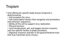 Tropism
• Viral affinity for specific body tissues (tropism) is
determined by
– Cell receptors for virus.
– Cell transcription factors that recognize viral promoters
and enhancer sequences.
– Ability of the cell to support virus replication.
– Physical barriers.
– Local temperature, pH, and oxygen tension enzymes
and non-specific factors in body secretions.
– Digestive enzymes and bile in the gastrointestinal tract
that may inactivate some viruses.
 
