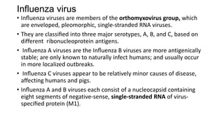 Influenza virus
• Inﬂuenza viruses are members of the orthomyxovirus group, which
are enveloped, pleomorphic, single-stranded RNA viruses.
• They are classiﬁed into three major serotypes, A, B, and C, based on
different ribonucleoprotein antigens.
• Inﬂuenza A viruses are the Inﬂuenza B viruses are more antigenically
stable; are only known to naturally infect humans; and usually occur
in more localized outbreaks.
• Inﬂuenza C viruses appear to be relatively minor causes of disease,
affecting humans and pigs.
• Inﬂuenza A and B viruses each consist of a nucleocapsid containing
eight segments of negative-sense, single-stranded RNA of virus-
speciﬁed protein (M1).
 