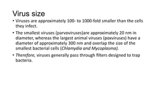 Virus size
• Viruses are approximately 100- to 1000-fold smaller than the cells
they infect.
• The smallest viruses (parvoviruses)are approximately 20 nm in
diameter, whereas the largest animal viruses (poxviruses) have a
diameter of approximately 300 nm and overlap the size of the
smallest bacterial cells (Chlamydia and Mycoplasma).
• Therefore, viruses generally pass through ﬁlters designed to trap
bacteria.
 