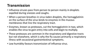Transmission
• Influenza viruses pass from person to person mainly in droplets
expelled during sneezes and coughs.
• When a person breathes in virus-laden droplets, the hemagglutinin
on the surface of the virus binds to enzymes in the mucous
membranes that line the respiratory tract.
• Enzymes, known as proteases, cut the hemagglutinin in two, which
enables the virus to gain entry into cells and begin to multiply.
• These proteases are common in the respiratory and digestive tracts
but not elsewhere, which is why the flu causes primarily a respiratory
illness with occasional gastrointestinal symptoms.
• Low humidity favours transmission of influenza virus.
 