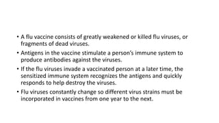 • A flu vaccine consists of greatly weakened or killed flu viruses, or
fragments of dead viruses.
• Antigens in the vaccine stimulate a person’s immune system to
produce antibodies against the viruses.
• If the flu viruses invade a vaccinated person at a later time, the
sensitized immune system recognizes the antigens and quickly
responds to help destroy the viruses.
• Flu viruses constantly change so different virus strains must be
incorporated in vaccines from one year to the next.
 