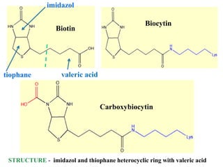 Lecture_Vitamins-2020.pdf