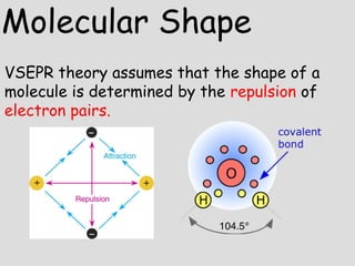 VSEPR theory assumes that the shape of a
molecule is determined by the repulsion of
electron pairs.
Molecular Shape
 