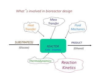 Lecture W1_Intro to Bioprocess_2587872.pdf