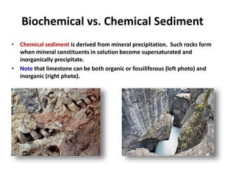 Chelation Rocks Lecture Weathering and Sedimentary Rocks.pptx