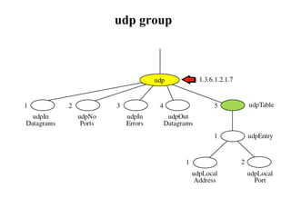 udp group  