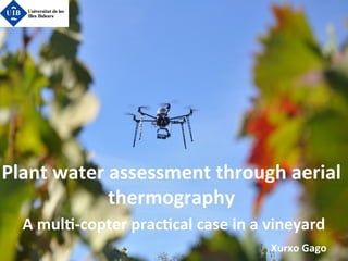 Plant	
  water	
  assessment	
  through	
  aerial	
  
thermography	
  
	
  A	
  mul4-­‐copter	
  prac4cal	
  case	
  in	
  a	
  vineyard	
  
	
   Xurxo	
  Gago	
  
 