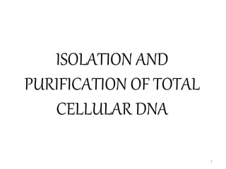 ISOLATION AND
PURIFICATION OF TOTAL
CELLULAR DNA
1
 