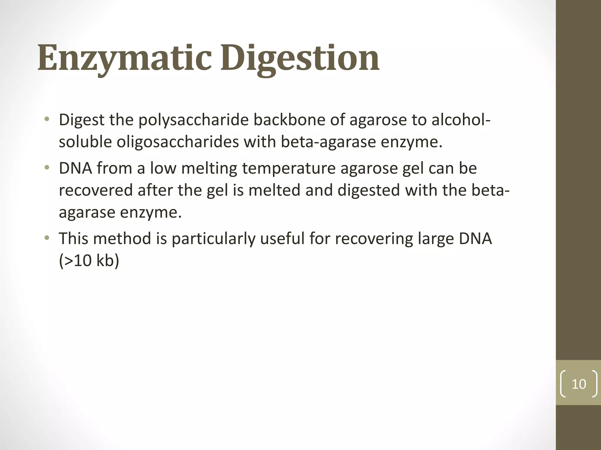Enzymatic Digestion
• Digest the polysaccharide backbone of agarose to alcohol-
soluble oligosaccharides with beta-agarase enzyme.
• DNA from a low melting temperature agarose gel can be
recovered after the gel is melted and digested with the beta-
agarase enzyme.
• This method is particularly useful for recovering large DNA
(>10 kb)
10
 