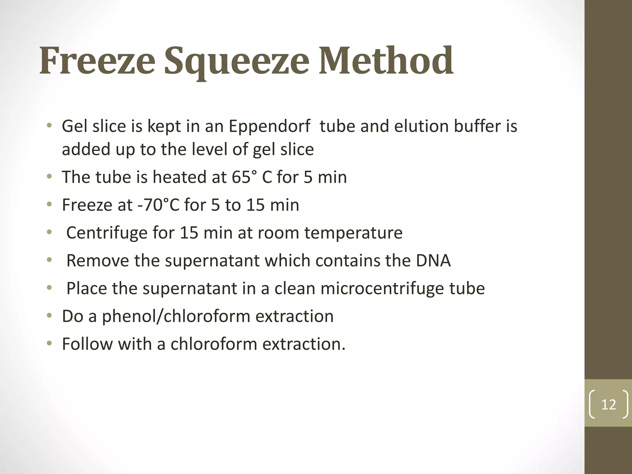 Freeze Squeeze Method
• Gel slice is kept in an Eppendorf tube and elution buffer is
added up to the level of gel slice
• The tube is heated at 65° C for 5 min
• Freeze at -70°C for 5 to 15 min
• Centrifuge for 15 min at room temperature
• Remove the supernatant which contains the DNA
• Place the supernatant in a clean microcentrifuge tube
• Do a phenol/chloroform extraction
• Follow with a chloroform extraction.
12
 