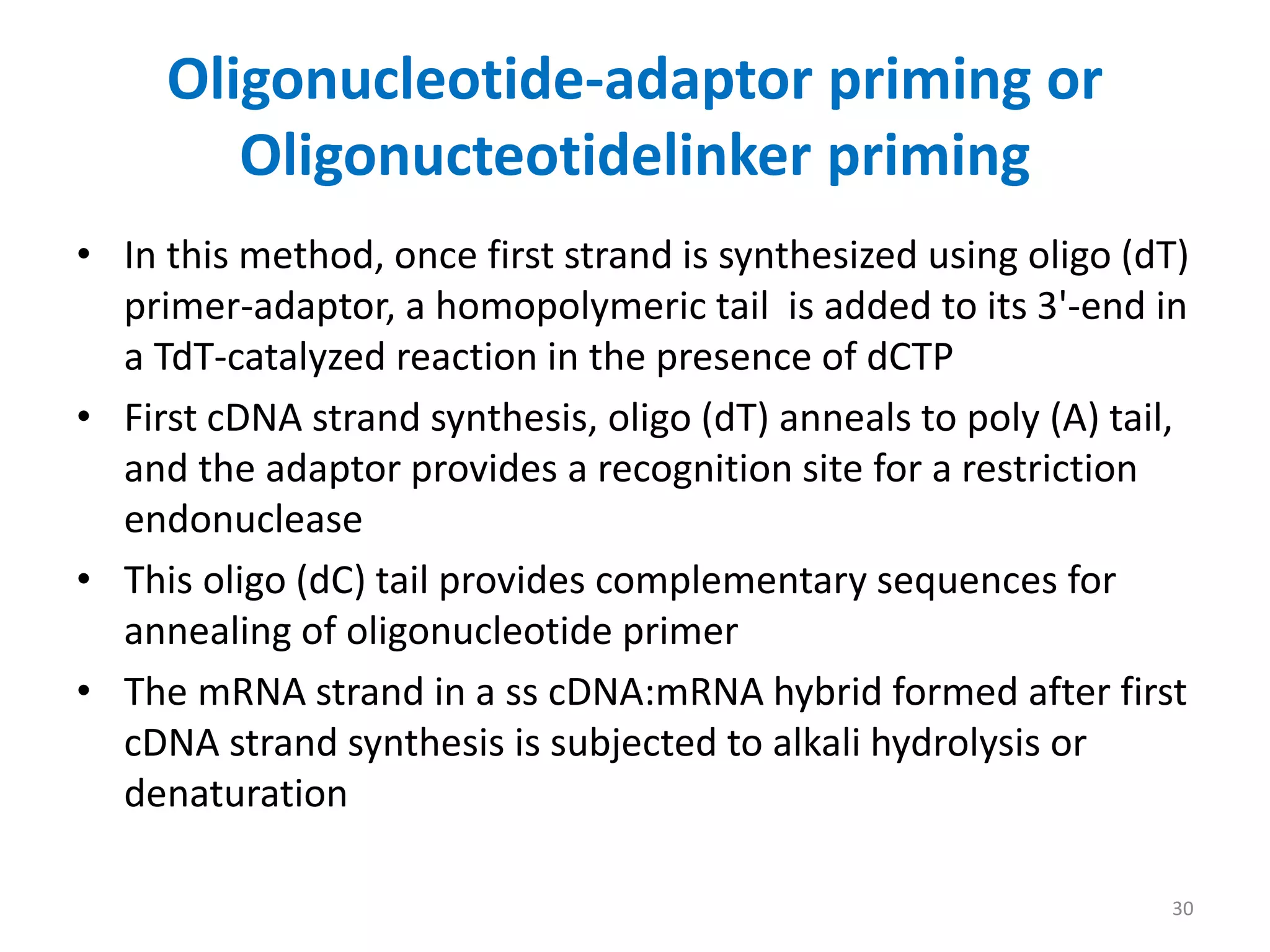 Oligonucleotide-adaptor priming or
Oligonucteotidelinker priming
• In this method, once first strand is synthesized using oligo (dT)
primer-adaptor, a homopolymeric tail is added to its 3'-end in
a TdT-catalyzed reaction in the presence of dCTP
• First cDNA strand synthesis, oligo (dT) anneals to poly (A) tail,
and the adaptor provides a recognition site for a restriction
endonuclease
• This oligo (dC) tail provides complementary sequences for
annealing of oligonucleotide primer
• The mRNA strand in a ss cDNA:mRNA hybrid formed after first
cDNA strand synthesis is subjected to alkali hydrolysis or
denaturation
30
 