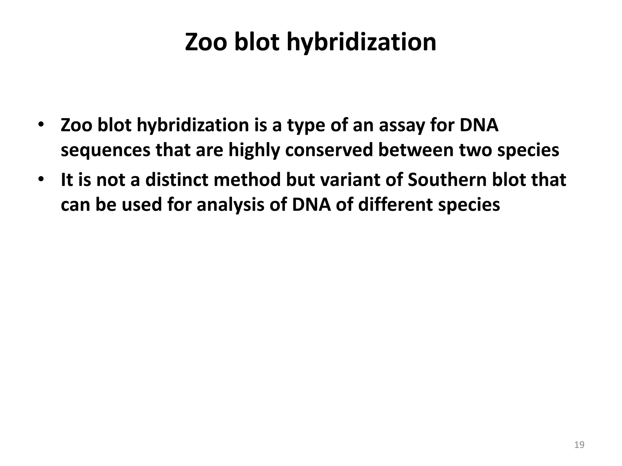 Zoo blot hybridization
• Zoo blot hybridization is a type of an assay for DNA
sequences that are highly conserved between two species
• It is not a distinct method but variant of Southern blot that
can be used for analysis of DNA of different species
19
 