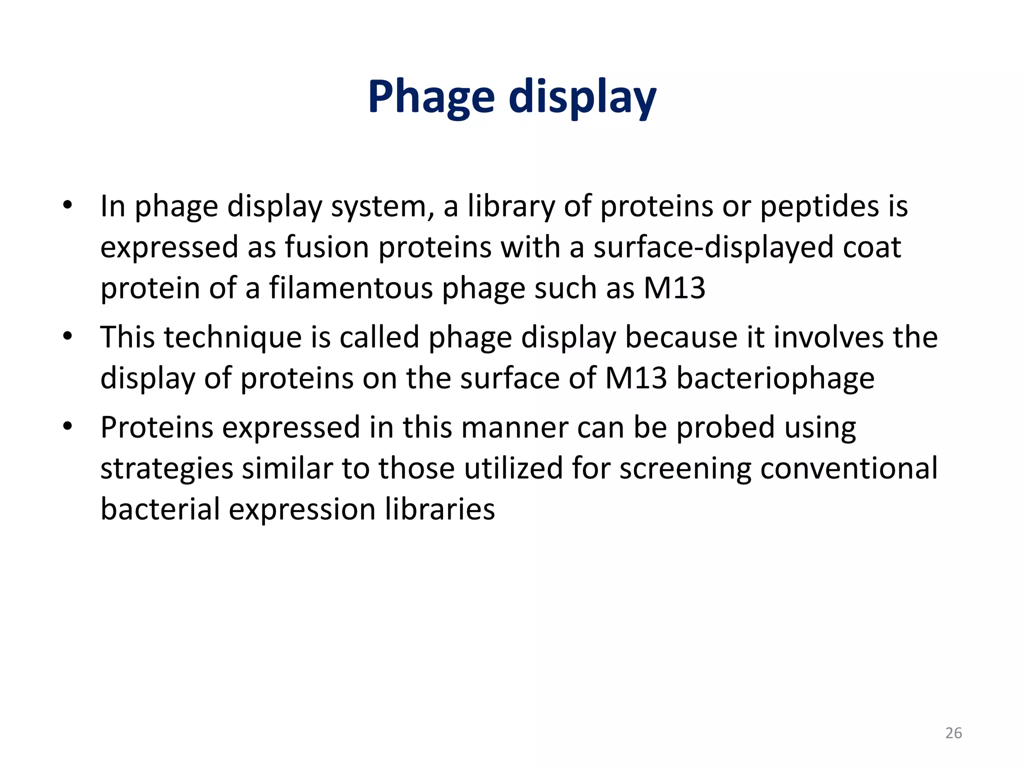 Phage display
• In phage display system, a library of proteins or peptides is
expressed as fusion proteins with a surface-displayed coat
protein of a filamentous phage such as M13
• This technique is called phage display because it involves the
display of proteins on the surface of M13 bacteriophage
• Proteins expressed in this manner can be probed using
strategies similar to those utilized for screening conventional
bacterial expression libraries
26
 