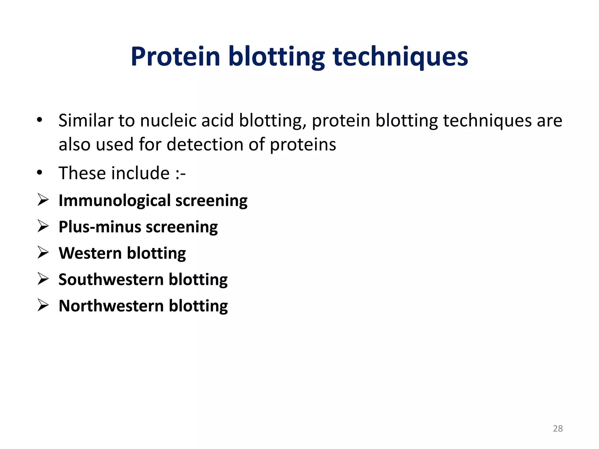 Protein blotting techniques
• Similar to nucleic acid blotting, protein blotting techniques are
also used for detection of proteins
• These include :-
 Immunological screening
 Plus-minus screening
 Western blotting
 Southwestern blotting
 Northwestern blotting
28
 