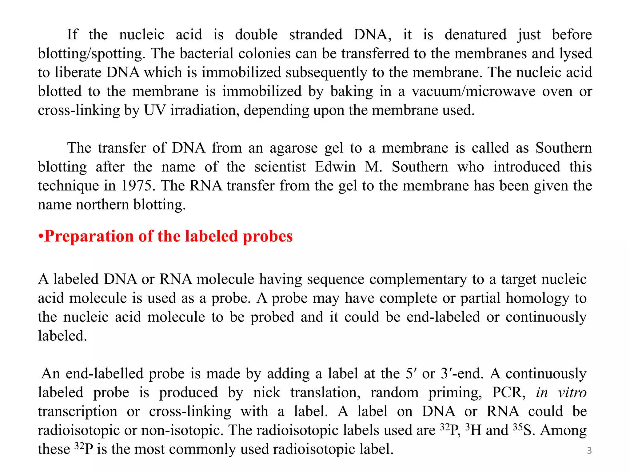 3
If the nucleic acid is double stranded DNA, it is denatured just before
blotting/spotting. The bacterial colonies can be transferred to the membranes and lysed
to liberate DNA which is immobilized subsequently to the membrane. The nucleic acid
blotted to the membrane is immobilized by baking in a vacuum/microwave oven or
cross-linking by UV irradiation, depending upon the membrane used.
The transfer of DNA from an agarose gel to a membrane is called as Southern
blotting after the name of the scientist Edwin M. Southern who introduced this
technique in 1975. The RNA transfer from the gel to the membrane has been given the
name northern blotting.
•Preparation of the labeled probes
A labeled DNA or RNA molecule having sequence complementary to a target nucleic
acid molecule is used as a probe. A probe may have complete or partial homology to
the nucleic acid molecule to be probed and it could be end-labeled or continuously
labeled.
An end-labelled probe is made by adding a label at the 5′ or 3′-end. A continuously
labeled probe is produced by nick translation, random priming, PCR, in vitro
transcription or cross-linking with a label. A label on DNA or RNA could be
radioisotopic or non-isotopic. The radioisotopic labels used are 32P, 3H and 35S. Among
these 32P is the most commonly used radioisotopic label.
 