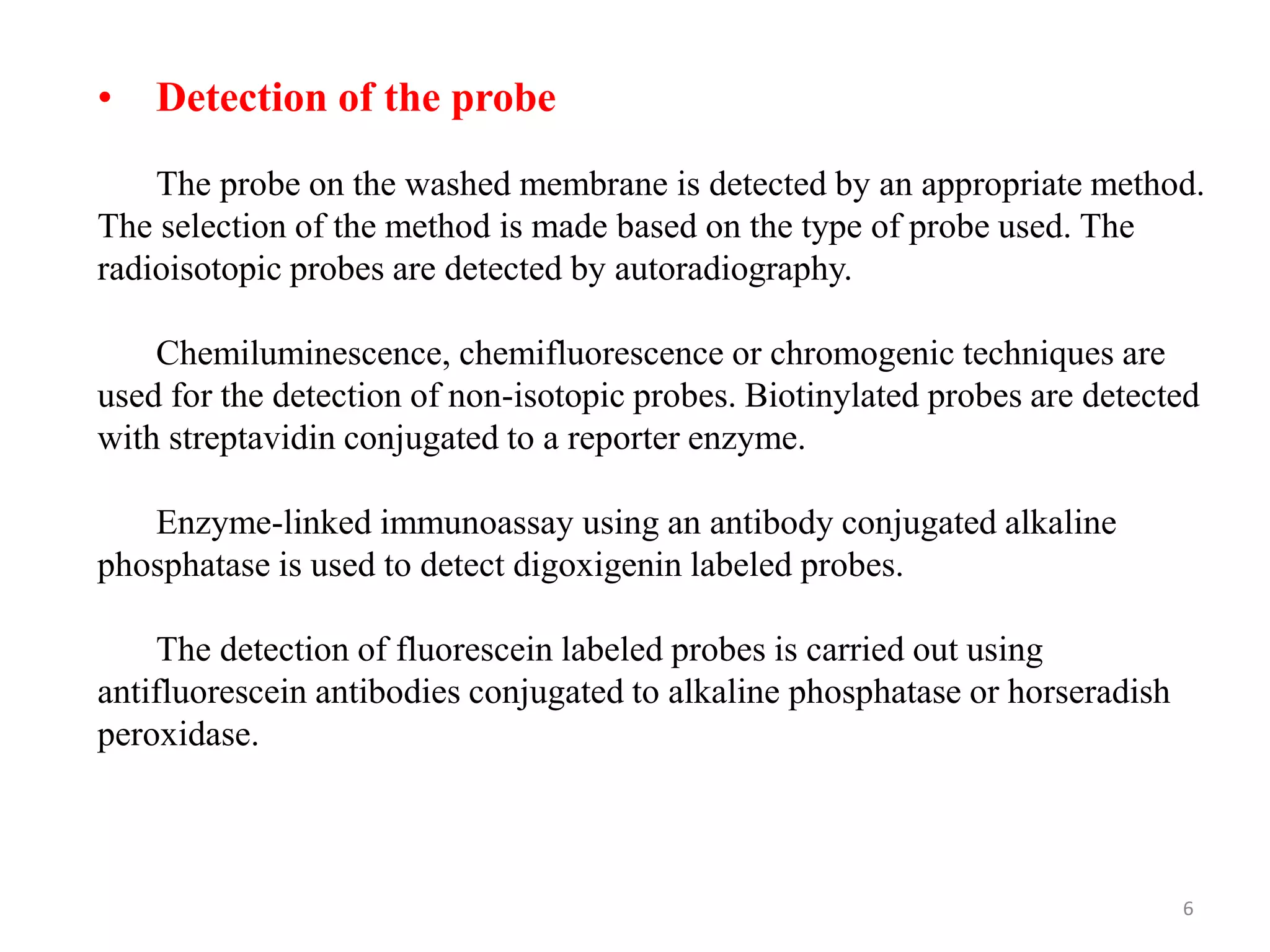 6
• Detection of the probe
The probe on the washed membrane is detected by an appropriate method.
The selection of the method is made based on the type of probe used. The
radioisotopic probes are detected by autoradiography.
Chemiluminescence, chemifluorescence or chromogenic techniques are
used for the detection of non-isotopic probes. Biotinylated probes are detected
with streptavidin conjugated to a reporter enzyme.
Enzyme-linked immunoassay using an antibody conjugated alkaline
phosphatase is used to detect digoxigenin labeled probes.
The detection of fluorescein labeled probes is carried out using
antifluorescein antibodies conjugated to alkaline phosphatase or horseradish
peroxidase.
 