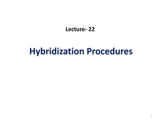 Hybridization Procedures
1
Lecture- 22
 