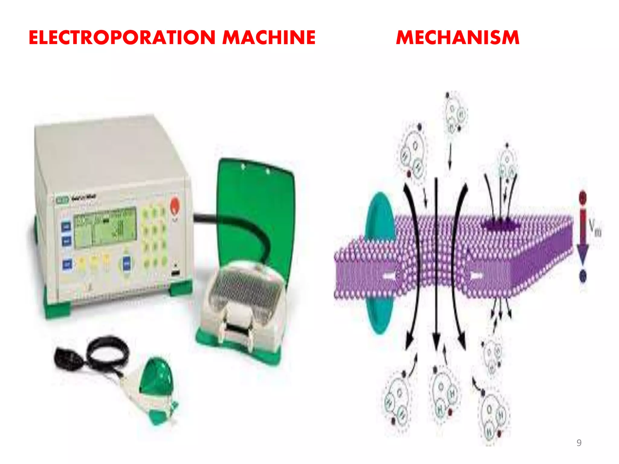 ELECTROPORATION MACHINE MECHANISM
9
 