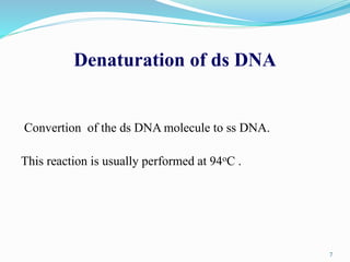 Lectut btn-202-ppt-l26. polymerase chain reaction for dna amplification ...