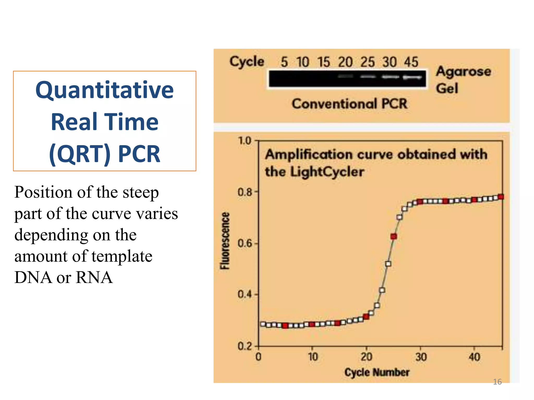 Quantitative
Real Time
(QRT) PCR
Position of the steep
part of the curve varies
depending on the
amount of template
DNA or RNA
16
 
