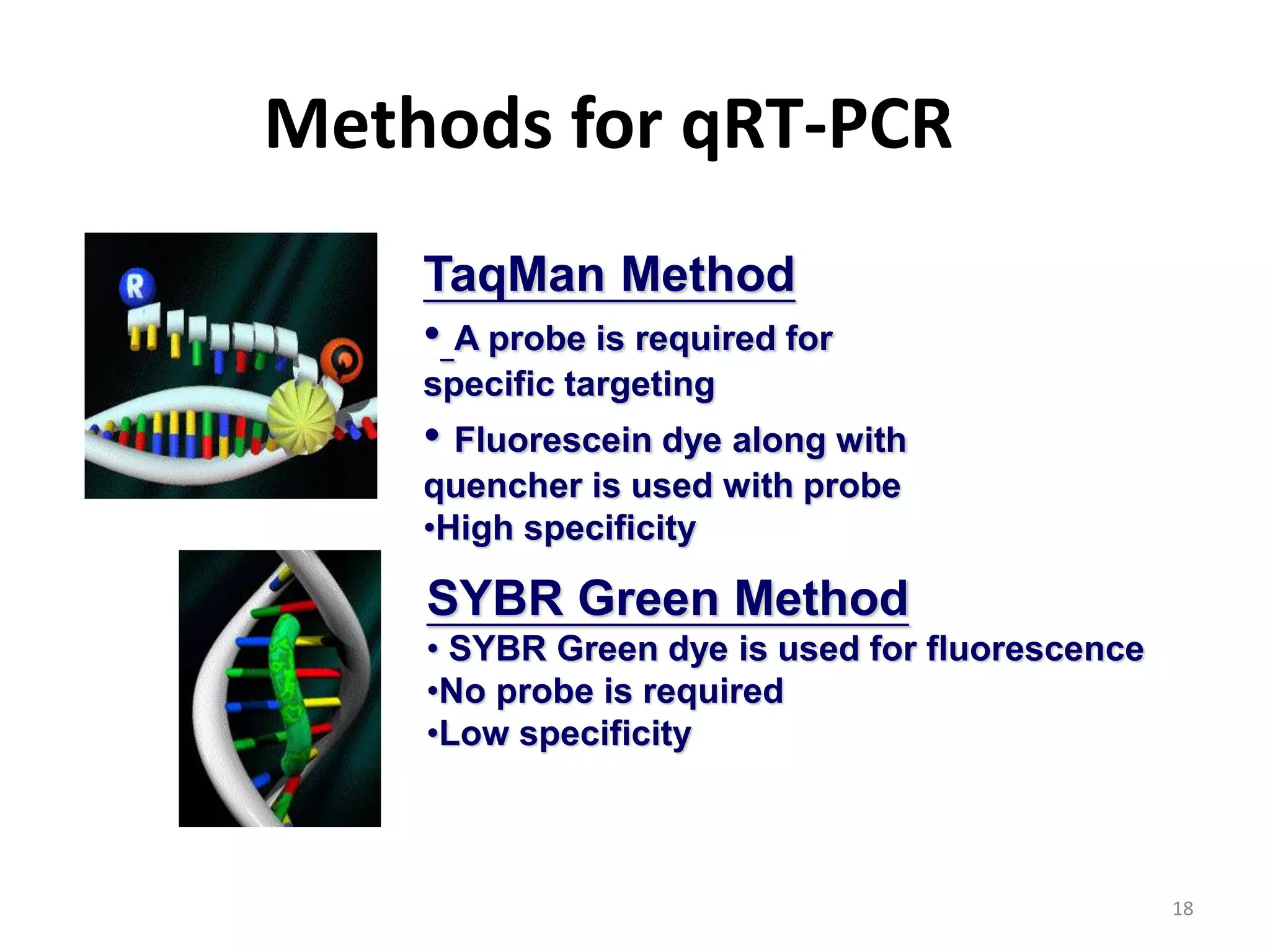 Methods for qRT-PCR
TaqMan Method
• A probe is required for
specific targeting
• Fluorescein dye along with
quencher is used with probe
•High specificity
SYBR Green Method
• SYBR Green dye is used for fluorescence
•No probe is required
•Low specificity
18
 