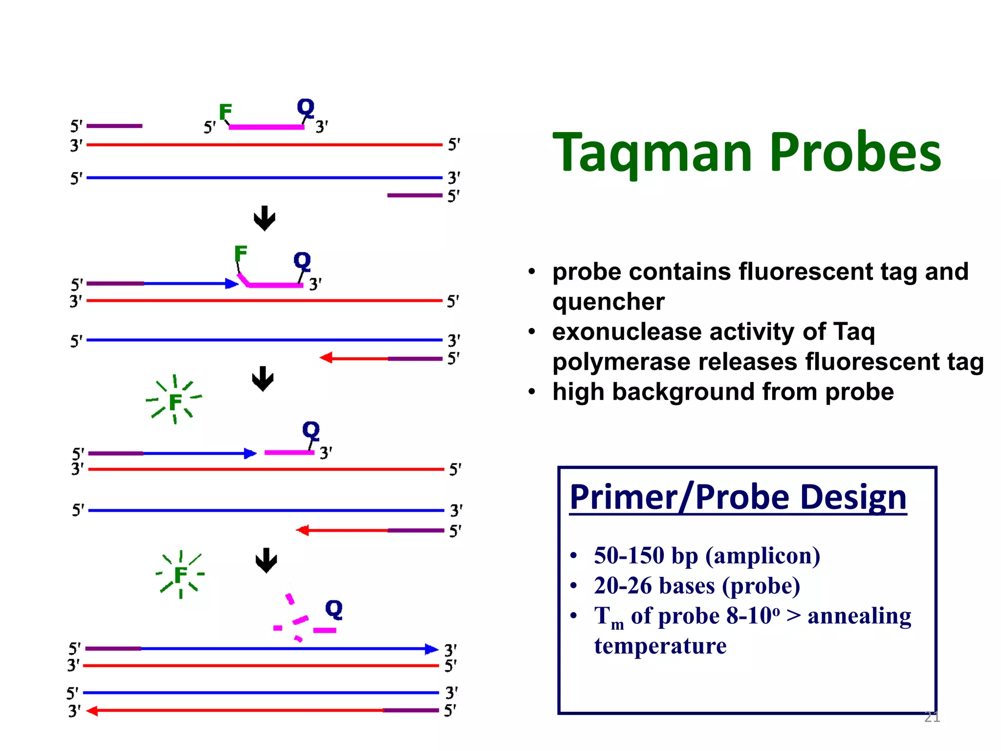 Taqman Probes
• probe contains fluorescent tag and
quencher
• exonuclease activity of Taq
polymerase releases fluorescent tag
• high background from probe
Primer/Probe Design
• 50-150 bp (amplicon)
• 20-26 bases (probe)
• Tm of probe 8-10o > annealing
temperature
21
 