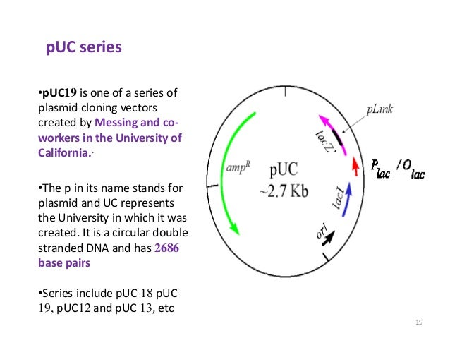 Lectut btn-202-ppt-l3. gene cloning and plasmid vectors (1)