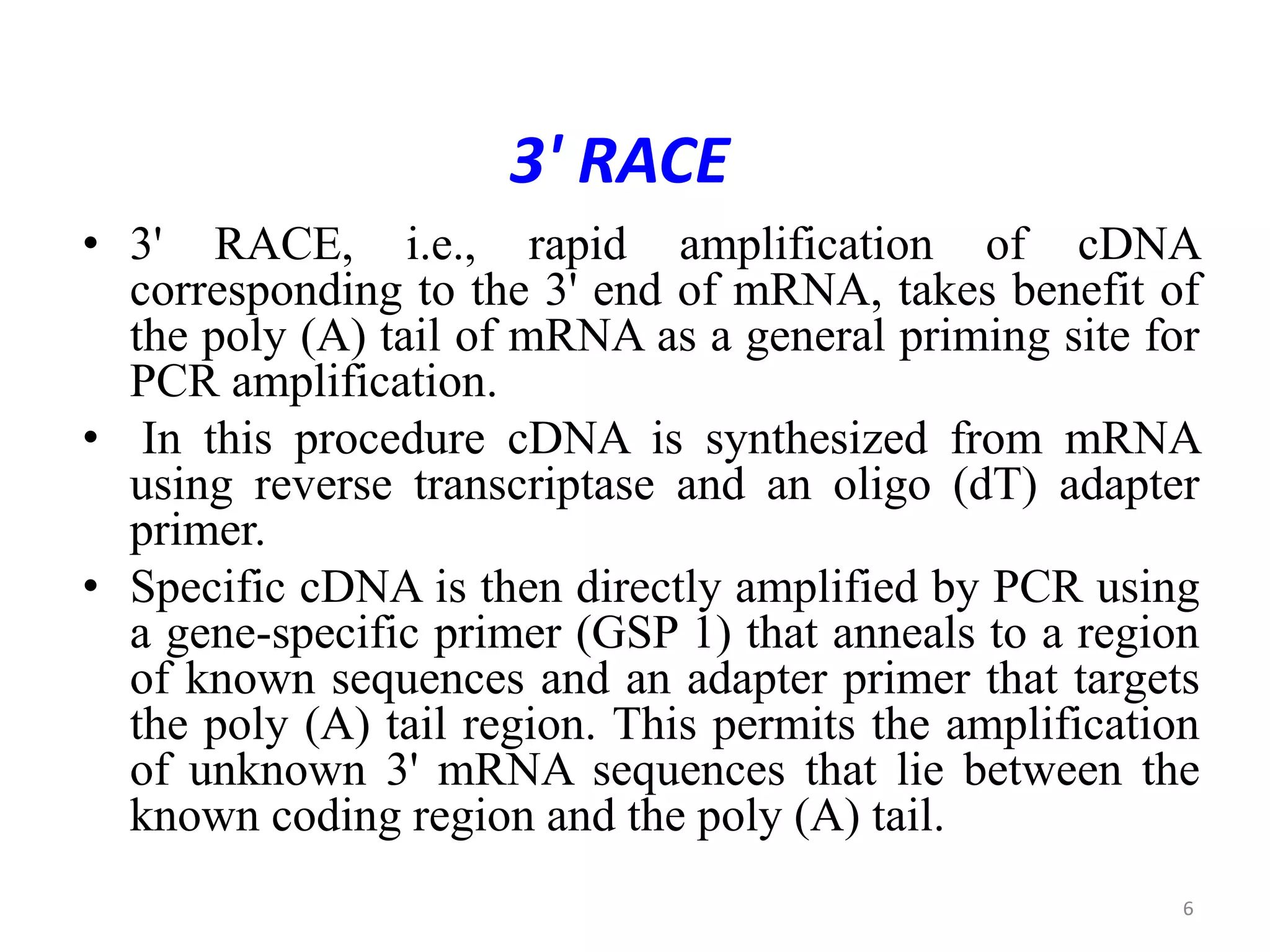 3' RACE
• 3' RACE, i.e., rapid amplification of cDNA
corresponding to the 3' end of mRNA, takes benefit of
the poly (A) tail of mRNA as a general priming site for
PCR amplification.
• In this procedure cDNA is synthesized from mRNA
using reverse transcriptase and an oligo (dT) adapter
primer.
• Specific cDNA is then directly amplified by PCR using
a gene-specific primer (GSP 1) that anneals to a region
of known sequences and an adapter primer that targets
the poly (A) tail region. This permits the amplification
of unknown 3' mRNA sequences that lie between the
known coding region and the poly (A) tail.
6
 