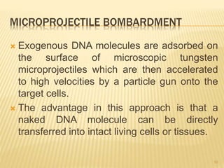 MICROPROJECTILE BOMBARDMENT
 Exogenous DNA molecules are adsorbed on
the surface of microscopic tungsten
microprojectiles which are then accelerated
to high velocities by a particle gun onto the
target cells.
 The advantage in this approach is that a
naked DNA molecule can be directly
transferred into intact living cells or tissues.
10
 