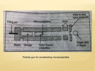 Particle gun for accelerating microprojectiles
11
 
