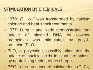 STIMULATION BY CHEMICALS
 1970: E. coli was transformed by calcium
chloride and heat shock treatments
 1977: Lurquin and Kado demonstrated that
uptake of plasmid DNA by cowpea
protoplasts was stimulated by poly-L-
ornithine (PLO).
 PLO, a polycation, possibly stimulates the
uptake of nucleic acids in plant protoplasts
by neutralising their surface charge.
 PEG in the presence of calcium ions (CaCl2)6
 