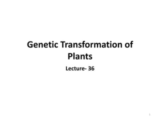 Genetic Transformation of
Plants
1
Lecture- 36
 