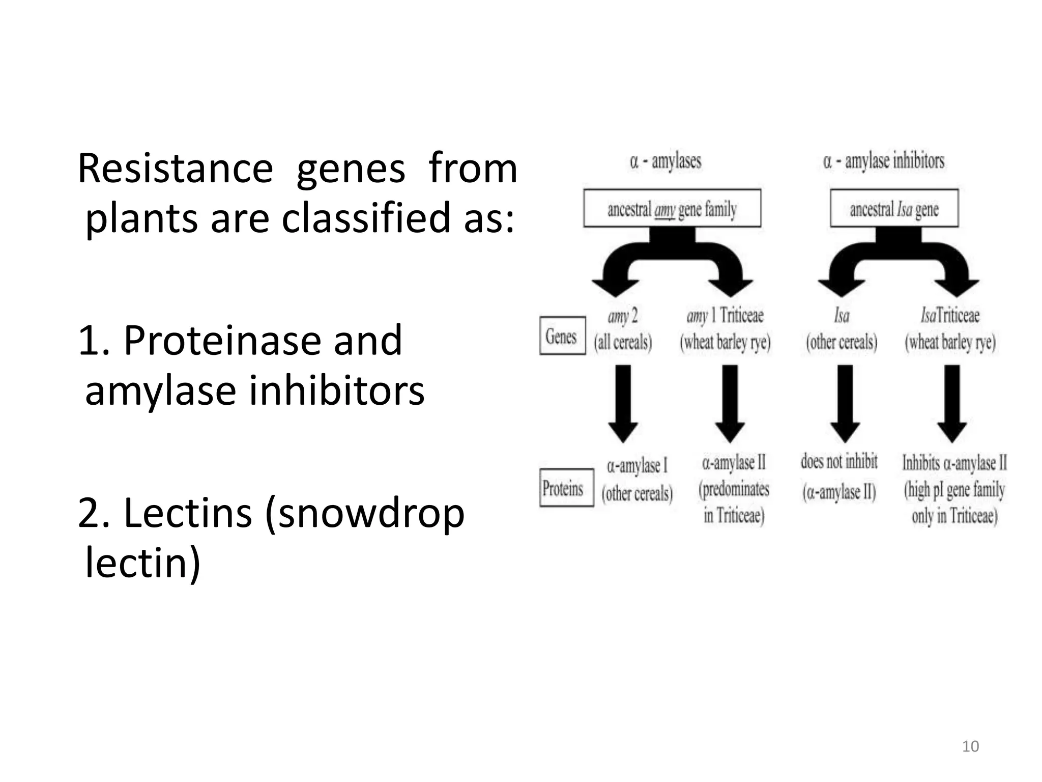 Resistance genes from
plants are classified as:
1. Proteinase and
amylase inhibitors
2. Lectins (snowdrop
lectin)
10
 