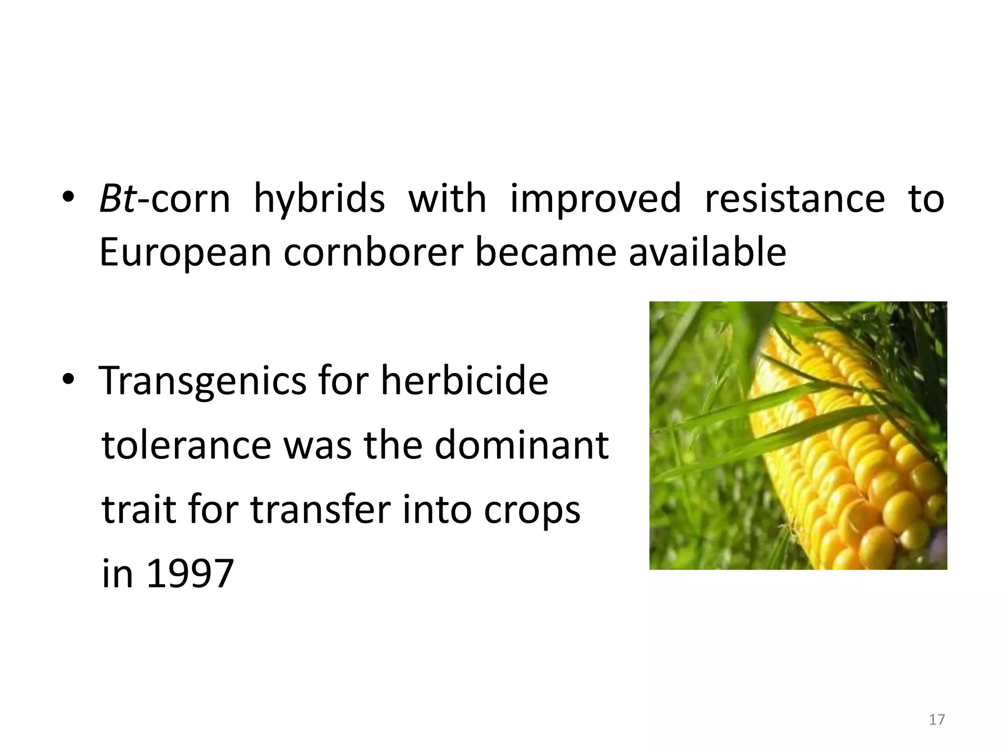 • Bt-corn hybrids with improved resistance to
European cornborer became available
• Transgenics for herbicide
tolerance was the dominant
trait for transfer into crops
in 1997
17
 