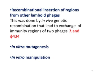 •Recombinational insertion of regions
from other lamboid phages
This was done by in vivo genetic
recombination that lead to exchange of
immunity regions of two phages λ and
ф434
•In vitro mutagenesis
•In vitro manipulation
11
 