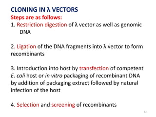 CLONING IN λ VECTORS
Steps are as follows:
1. Restriction digestion of λ vector as well as genomic
DNA
2. Ligation of the DNA fragments into λ vector to form
recombinants
3. Introduction into host by transfection of competent
E. coli host or in vitro packaging of recombinant DNA
by addition of packaging extract followed by natural
infection of the host
4. Selection and screening of recombinants
12
 