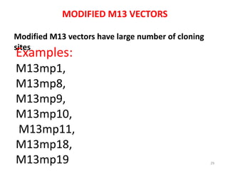 MODIFIED M13 VECTORS
Modified M13 vectors have large number of cloning
sites
Examples:
M13mp1,
M13mp8,
M13mp9,
M13mp10,
M13mp11,
M13mp18,
M13mp19 29
 