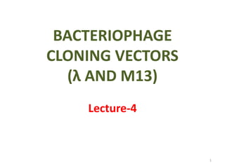 BACTERIOPHAGE
CLONING VECTORS
(λ AND M13)
Lecture-4
1
 