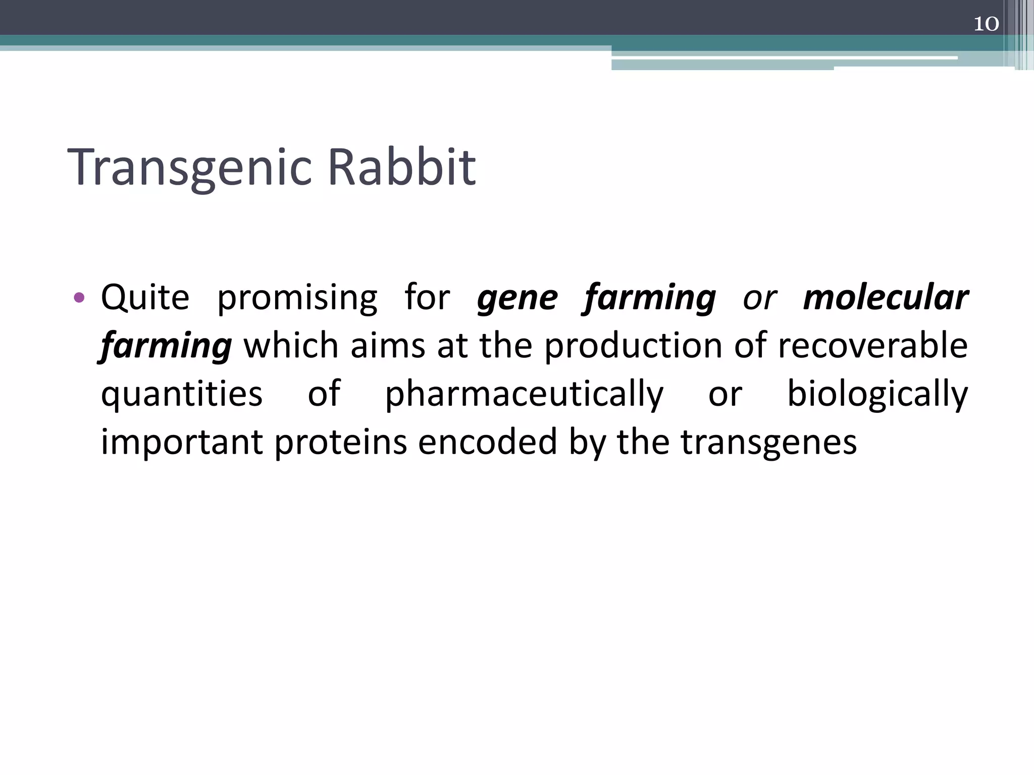 Transgenic Rabbit
• Quite promising for gene farming or molecular
farming which aims at the production of recoverable
quantities of pharmaceutically or biologically
important proteins encoded by the transgenes
10
 