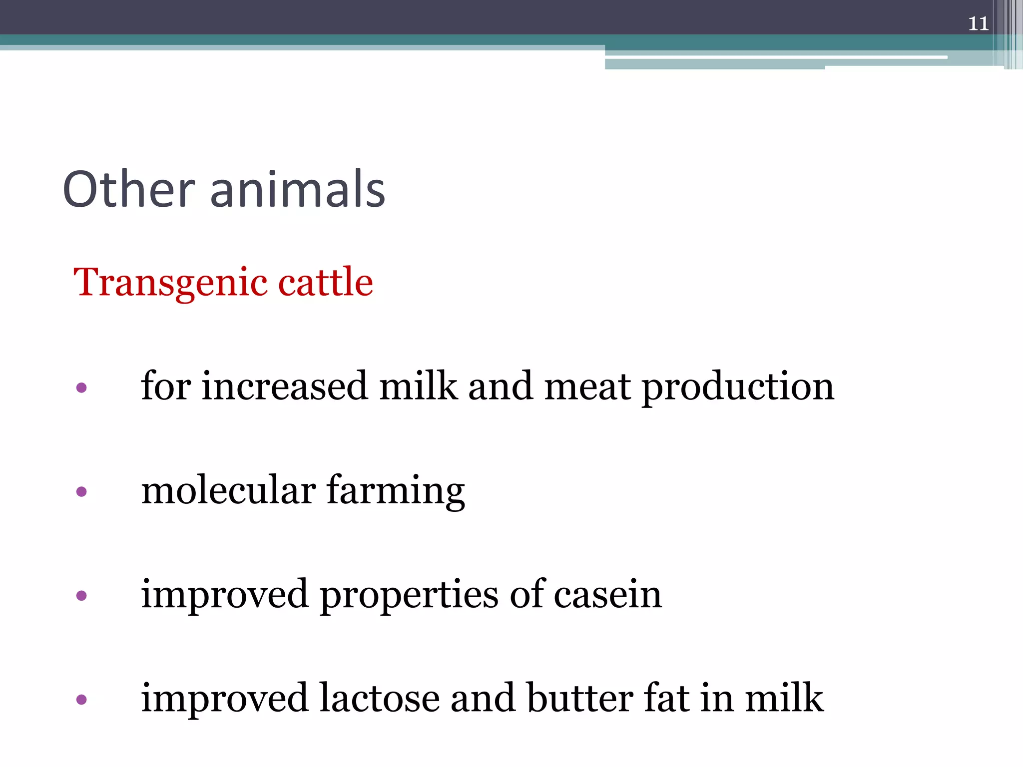 Other animals
Transgenic cattle
• for increased milk and meat production
• molecular farming
• improved properties of casein
• improved lactose and butter fat in milk
11
 