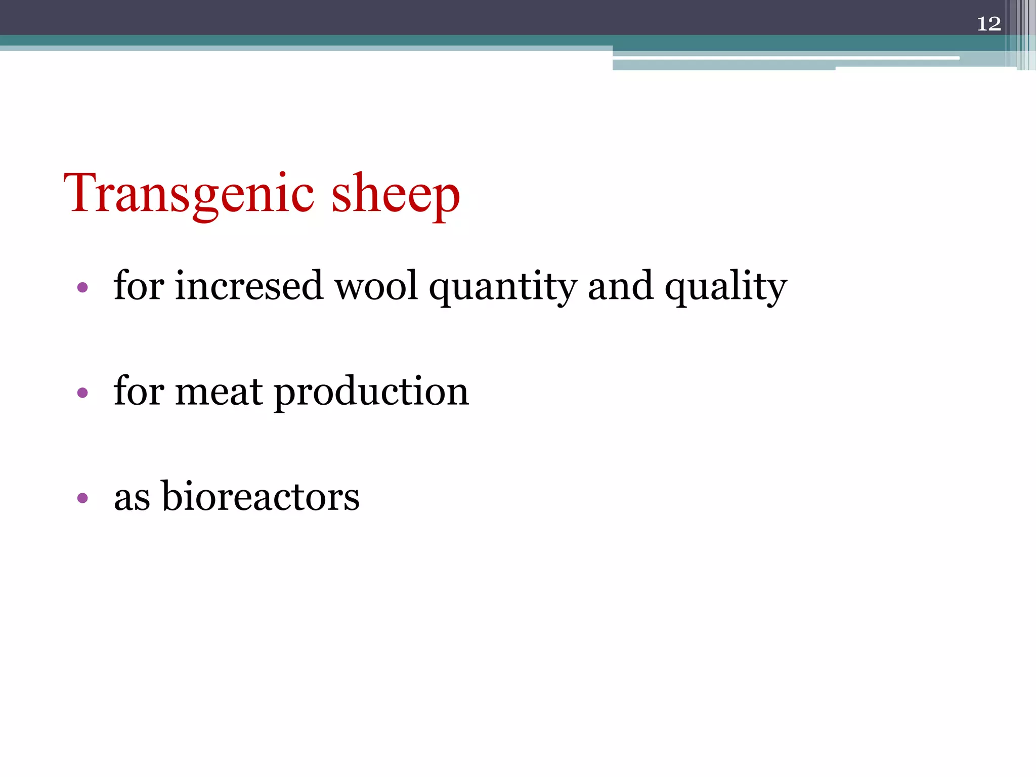 Transgenic sheep
• for incresed wool quantity and quality
• for meat production
• as bioreactors
12
 