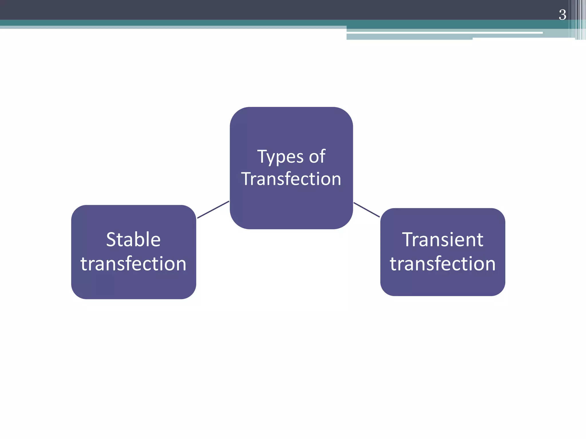 Types of
Transfection
Stable
transfection
Transient
transfection
3
 