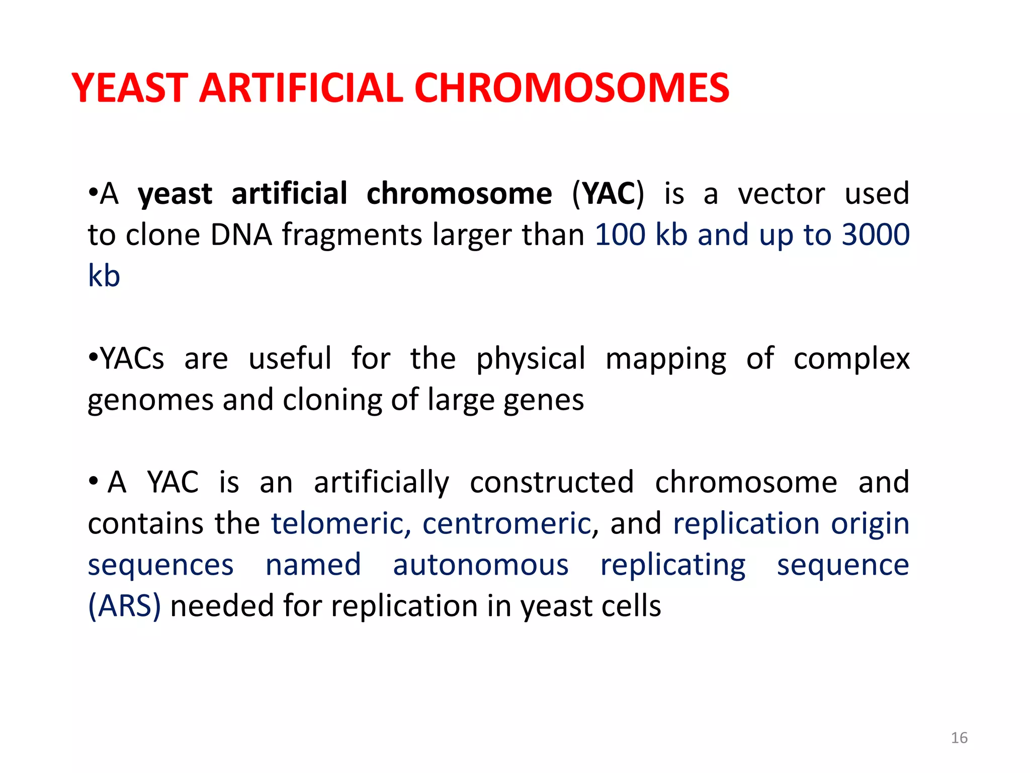YEAST ARTIFICIAL CHROMOSOMES
•A yeast artificial chromosome (YAC) is a vector used
to clone DNA fragments larger than 100 kb and up to 3000
kb
•YACs are useful for the physical mapping of complex
genomes and cloning of large genes
• A YAC is an artificially constructed chromosome and
contains the telomeric, centromeric, and replication origin
sequences named autonomous replicating sequence
(ARS) needed for replication in yeast cells
16
 