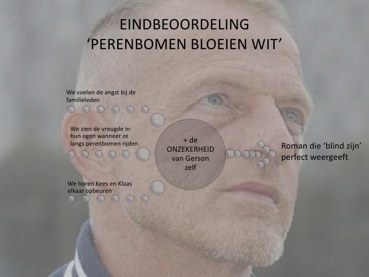 Lectuurtaak Nederlands �Perenbomen bloeien wit� Lectuurtaak Nederlands �Perenbomen bloeien wit�