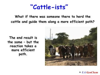 What if there was someone there to herd the cattle and guide them along a more efficient path? “ Cattle-ists” The end result is the same – but the reaction takes a more efficient path. 