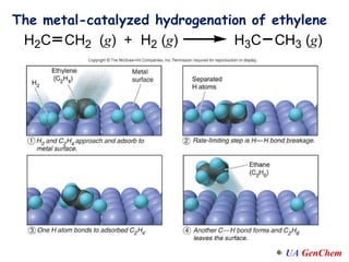 The metal-catalyzed hydrogenation of ethylene 