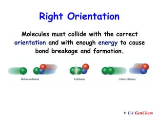 Molecules must collide with the correct  orientation  and with enough  energy  to cause bond breakage and formation. Right Orientation 