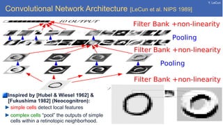 Y. LeCun
Convolutional Network Architecture [LeCun et al. NIPS 1989]
Inspired by [Hubel & Wiesel 1962] &
[Fukushima 1982] (Neocognitron):
simple cells detect local features
complex cells “pool” the outputs of simple
cells within a retinotopic neighborhood.
Filter Bank +non-linearity
Filter Bank +non-linearity
Pooling
Pooling
Filter Bank +non-linearity
 