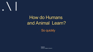How do Humans
and Animal Learn?
So quickly
 