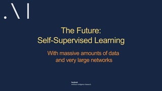 The Future:
Self-Supervised Learning
With massive amounts of data
and very large networks
 